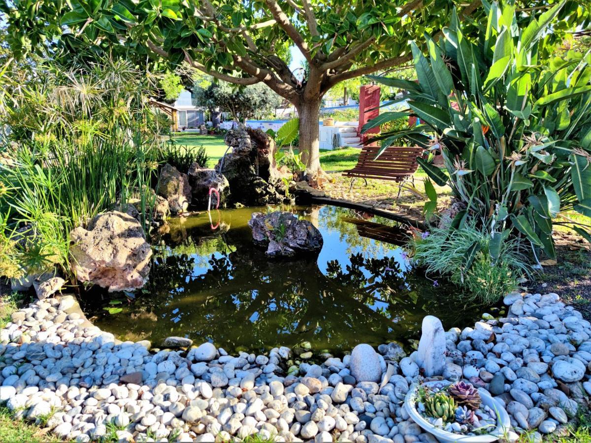 Quinta Dos Reis Alcantarilha