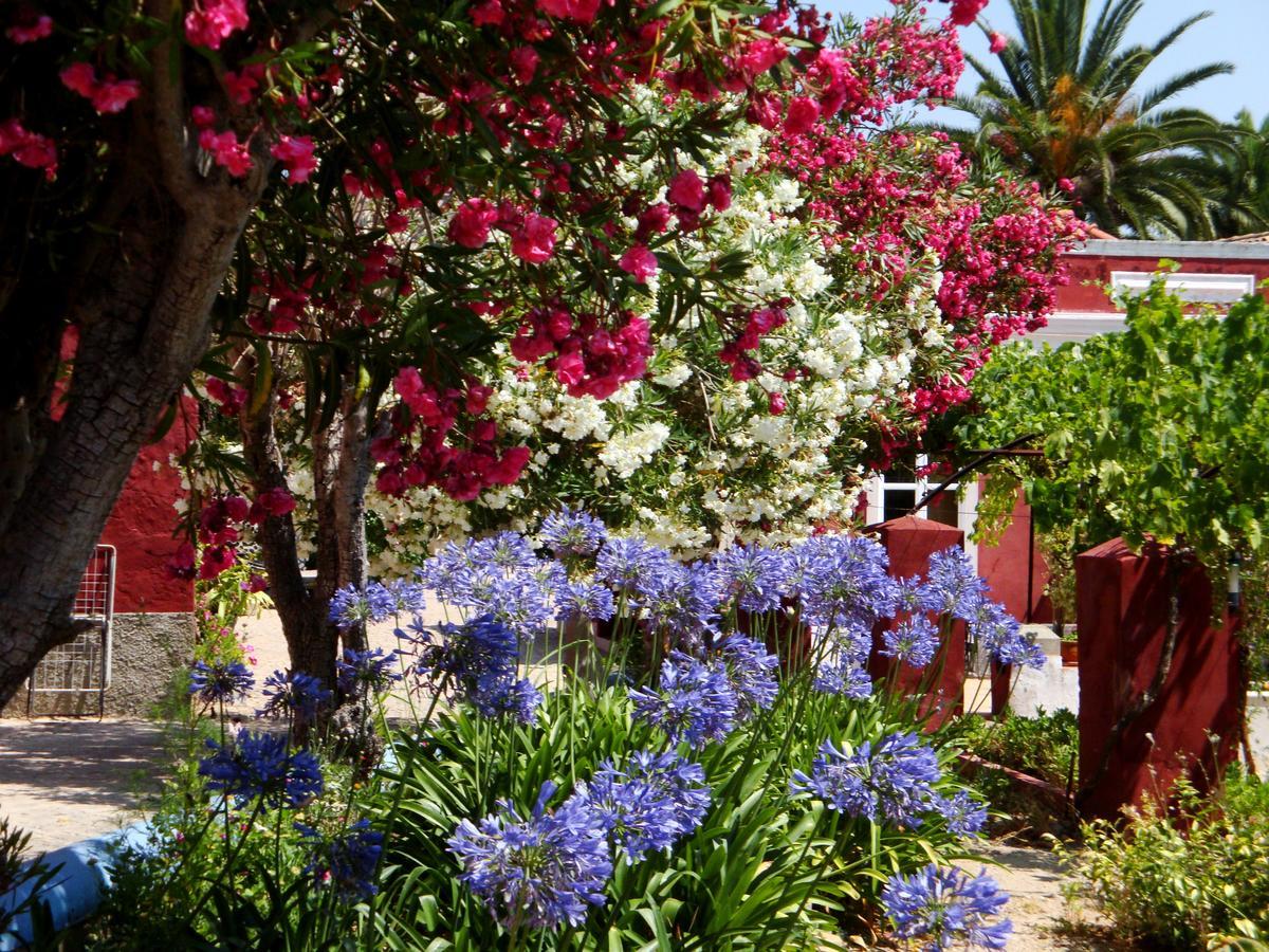 Casa de Férias Quinta Dos Reis